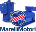 Marelli Motori