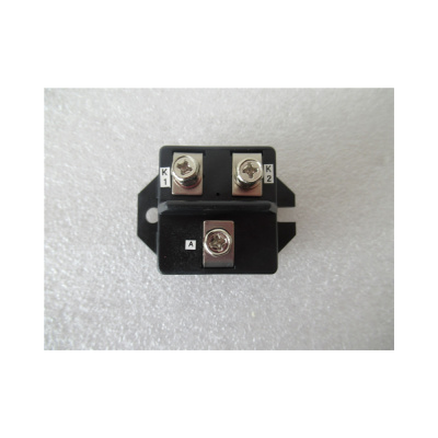 RM250DZ-2H-202 модуль